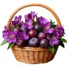 Сливовая корзинка